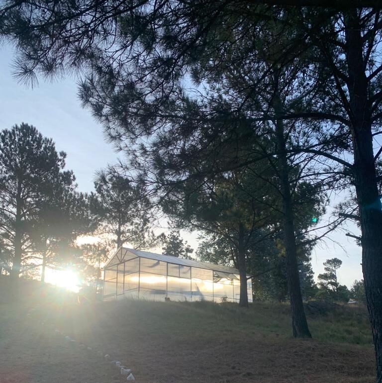 WhatsApp Image 2023-07-13 at 13.23.40