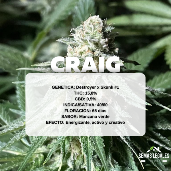 Craig x 4 - Imagen 3